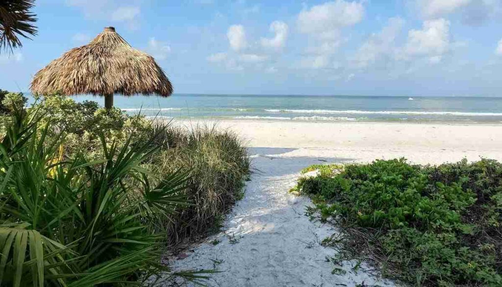 A sandy path through sea grape and palmetto opening onto the beach at Fort Myers Beach, Florida
